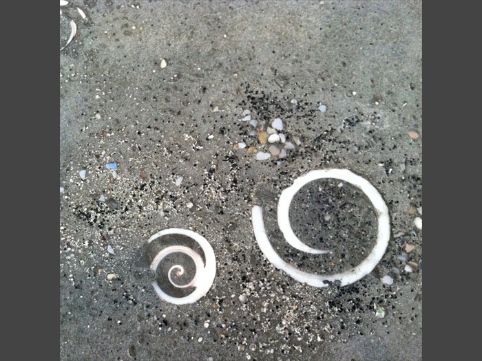 2 of 21 &nbsp;&nbsp;&nbsp;|&nbsp;&nbsp;&nbsp; Concrete Tile - Shell Inlay with Sealer