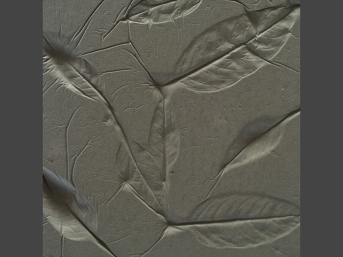 5 of 21 &nbsp;&nbsp;&nbsp;|&nbsp;&nbsp;&nbsp; Concrete Tile - Leaf Pattern