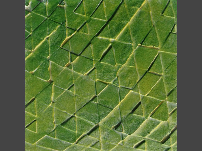 7 of 21 &nbsp;&nbsp;&nbsp;|&nbsp;&nbsp;&nbsp; Concrete Tile - Abstract Pattern