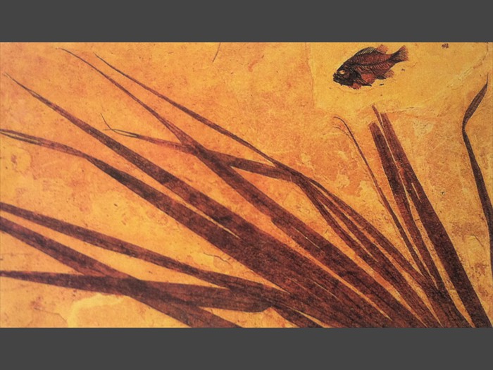 12 of 18    �     Concrete Backsplash Design