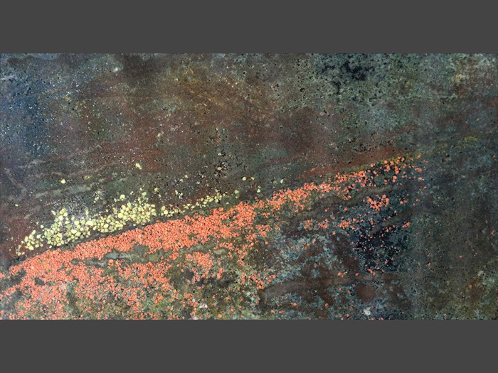 21 of 21 - Surface Style - 2A